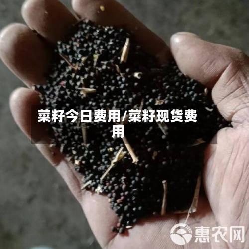 菜籽今日费用/菜籽现货费用-第3张图片