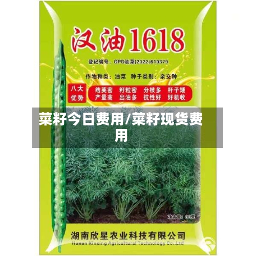 菜籽今日费用/菜籽现货费用