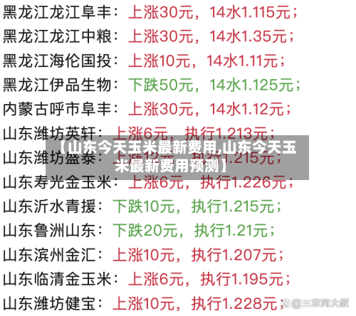【山东今天玉米最新费用,山东今天玉米最新费用预测】-第2张图片