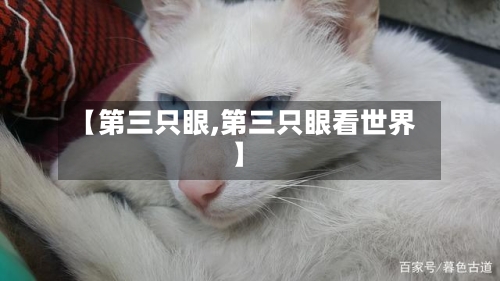 【第三只眼,第三只眼看世界】-第3张图片