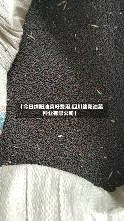 【今日绵阳油菜籽费用,四川绵阳油菜种业有限公司】