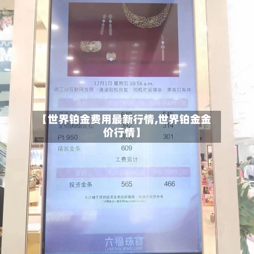 【世界铂金费用最新行情,世界铂金金价行情】-第2张图片