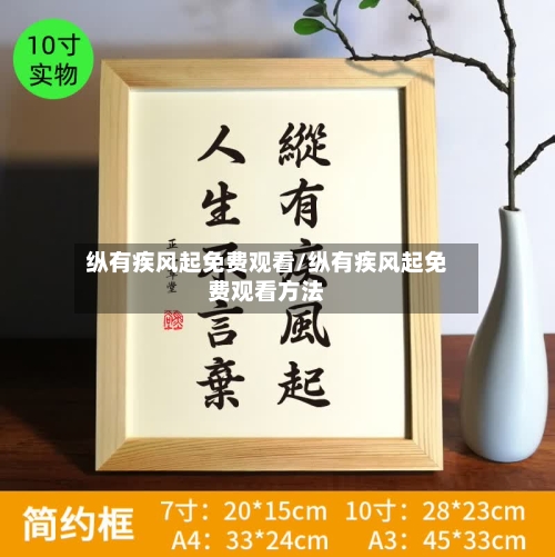 纵有疾风起免费观看/纵有疾风起免费观看方法-第2张图片