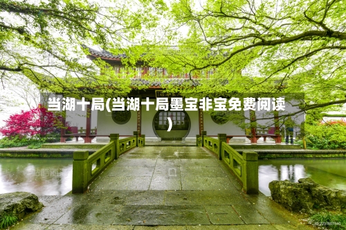 当湖十局(当湖十局墨宝非宝免费阅读)