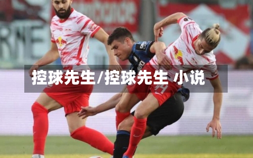 控球先生/控球先生 小说