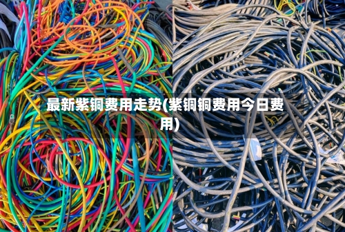 最新紫铜费用走势(紫铜铜费用今日费用)