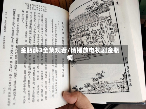 金瓶酶3全集观看/请播放电视剧金瓶梅