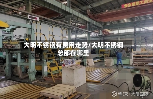 大明不锈钢有费用走势/大明不锈钢总部在哪里-第2张图片