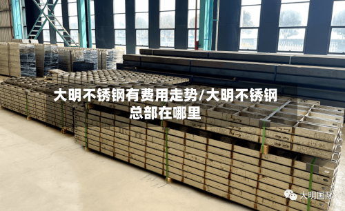 大明不锈钢有费用走势/大明不锈钢总部在哪里