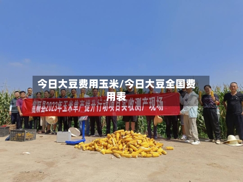 今日大豆费用玉米/今日大豆全国费用表