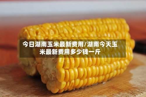 今日湖南玉米最新费用/湖南今天玉米最新费用多少钱一斤-第2张图片