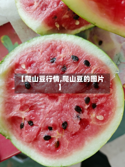 【爬山豆行情,爬山豆的图片】-第2张图片