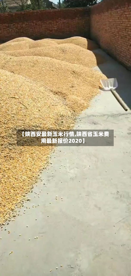 【陕西安最新玉米行情,陕西省玉米费用最新报价2020】