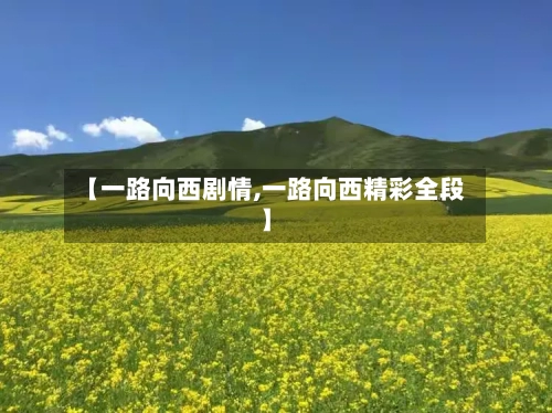 【一路向西剧情,一路向西精彩全段】