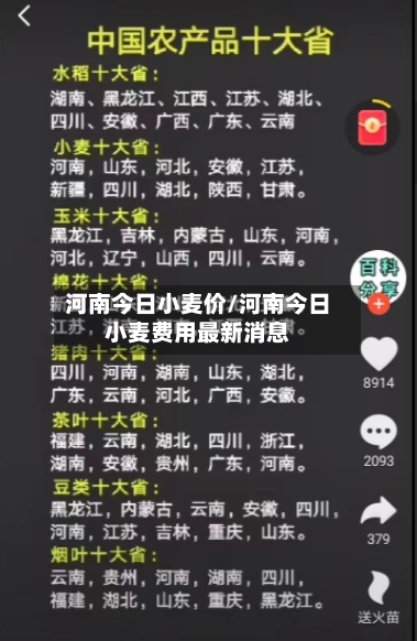 河南今日小麦价/河南今日小麦费用最新消息