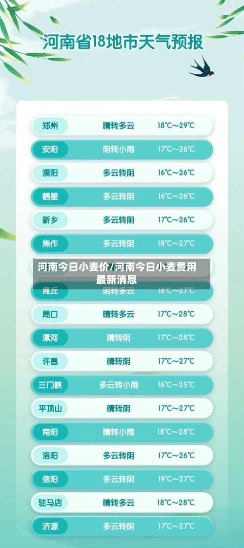 河南今日小麦价/河南今日小麦费用最新消息-第3张图片