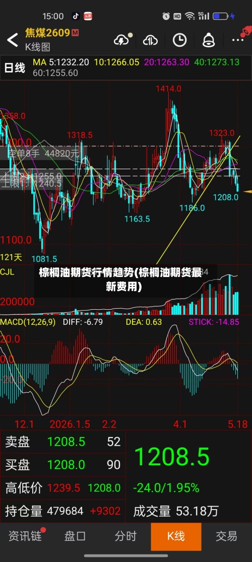 棕榈油期货行情趋势(棕榈油期货最新费用)