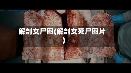 解剖女尸图(解剖女死尸图片)