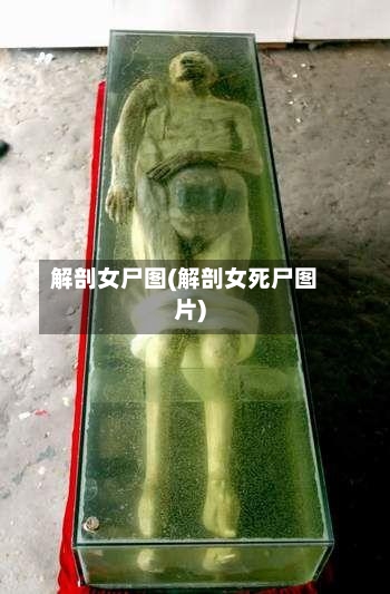 解剖女尸图(解剖女死尸图片)-第3张图片