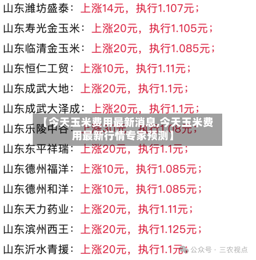【今天玉米费用最新消息,今天玉米费用最新行情专家预测】-第3张图片