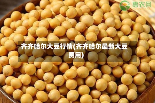 齐齐哈尔大豆行情(齐齐哈尔最新大豆费用)-第2张图片