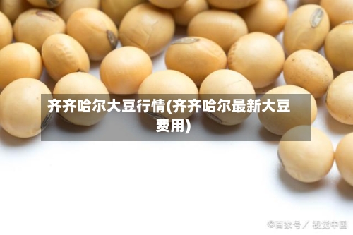 齐齐哈尔大豆行情(齐齐哈尔最新大豆费用)