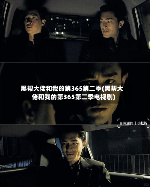 黑帮大佬和我的第365第二季(黑帮大佬和我的第365第二季电视剧)