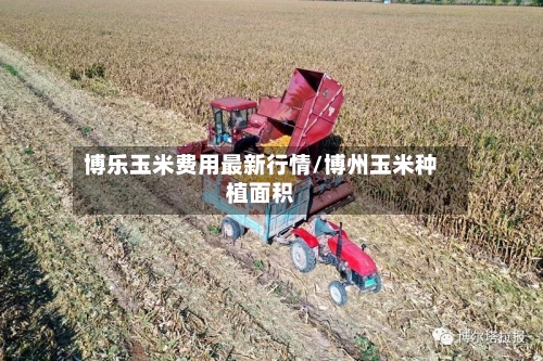 博乐玉米费用最新行情/博州玉米种植面积-第2张图片