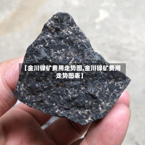 【金川镍矿费用走势图,金川镍矿费用走势图表】-第2张图片