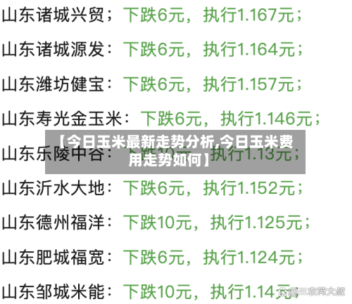 【今日玉米最新走势分析,今日玉米费用走势如何】-第2张图片