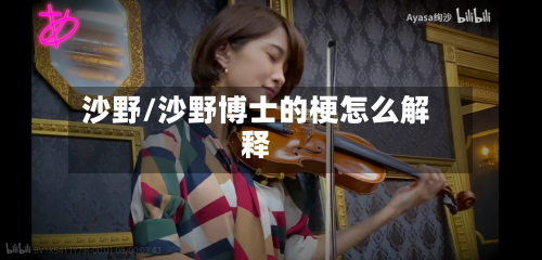 沙野/沙野博士的梗怎么解释-第2张图片