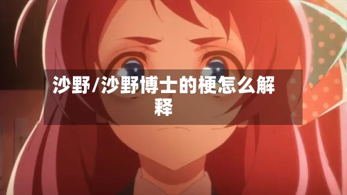 沙野/沙野博士的梗怎么解释