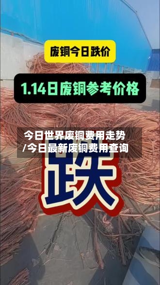 今日世界废铜费用走势/今日最新废铜费用查询-第2张图片