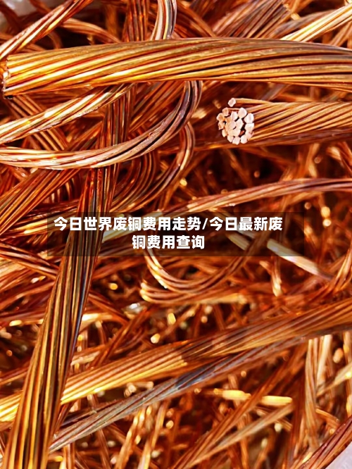 今日世界废铜费用走势/今日最新废铜费用查询