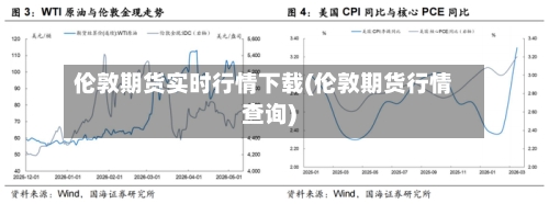 伦敦期货实时行情下载(伦敦期货行情查询)-第2张图片
