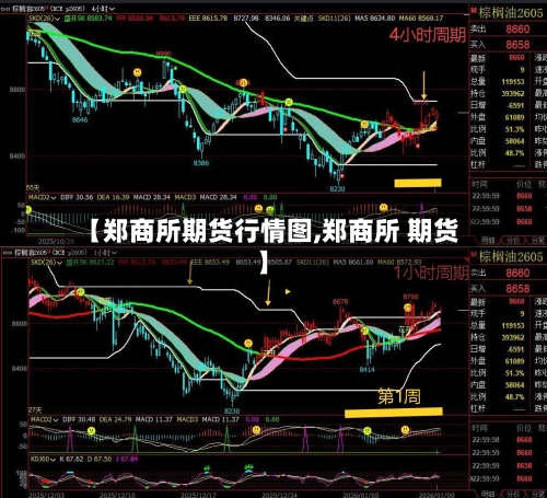 【郑商所期货行情图,郑商所 期货】-第2张图片