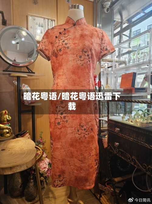 暗花粤语/暗花粤语迅雷下载