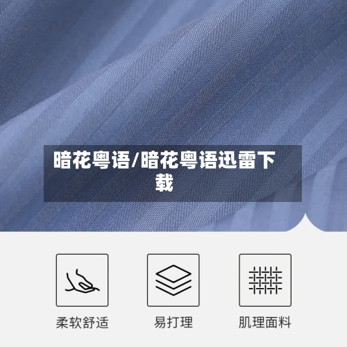 暗花粤语/暗花粤语迅雷下载-第3张图片