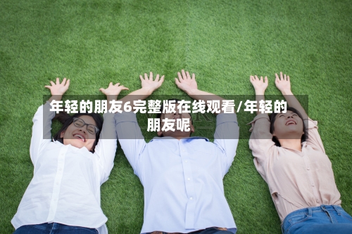 年轻的朋友6完整版在线观看/年轻的朋友呢-第2张图片