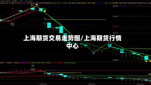上海期货交易走势图/上海期货行情中心