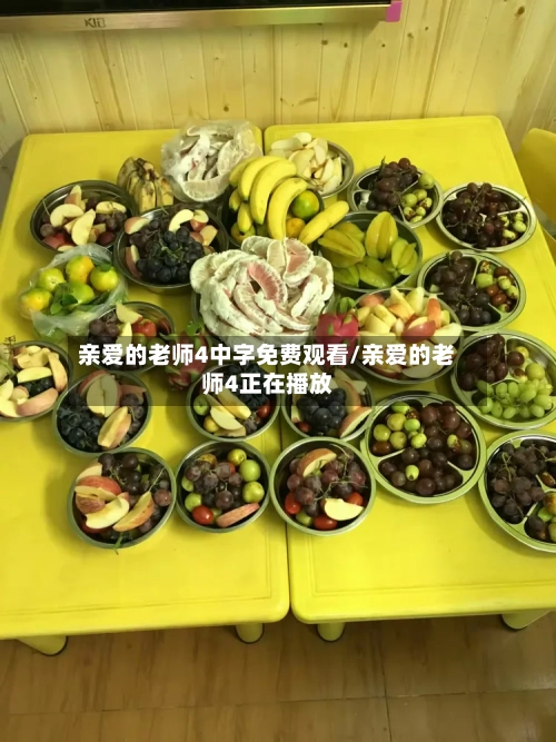 亲爱的老师4中字免费观看/亲爱的老师4正在播放-第2张图片