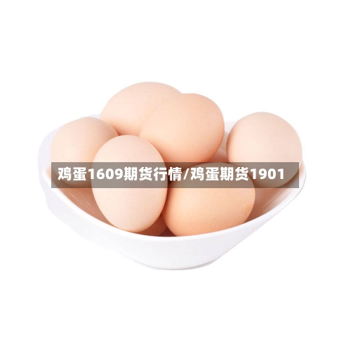 鸡蛋1609期货行情/鸡蛋期货1901-第2张图片