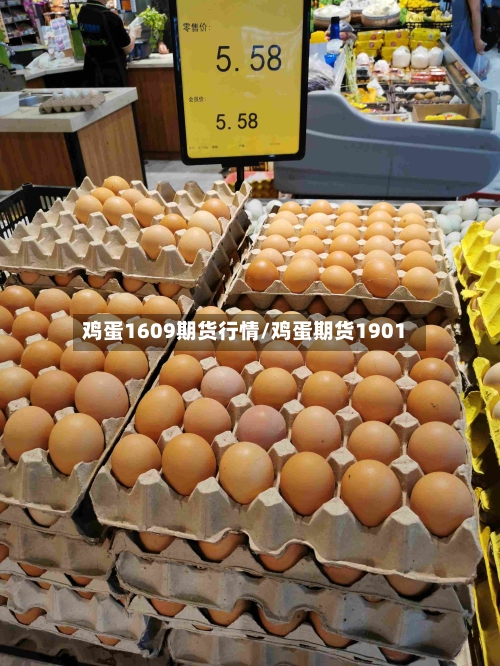 鸡蛋1609期货行情/鸡蛋期货1901