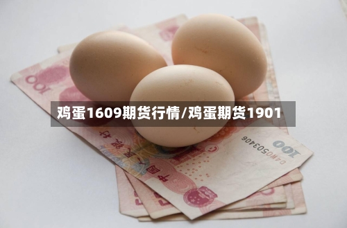鸡蛋1609期货行情/鸡蛋期货1901-第3张图片