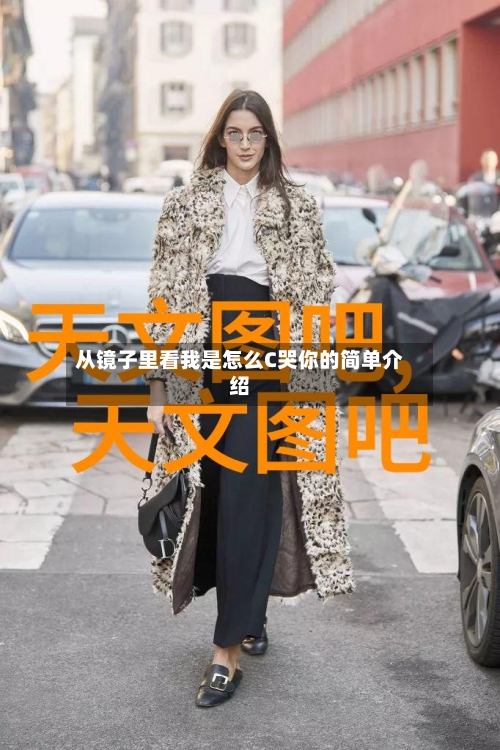 从镜子里看我是怎么C哭你的简单介绍