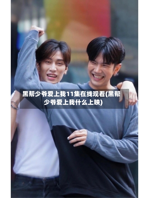 黑帮少爷爱上我11集在线观看(黑帮少爷爱上我什么上映)