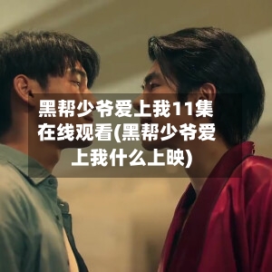 黑帮少爷爱上我11集在线观看(黑帮少爷爱上我什么上映)-第2张图片