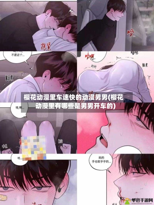樱花动漫里车速快的动漫男男(樱花动漫里有哪些是男男开车的)