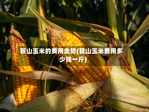 鞍山玉米的费用走势(鞍山玉米费用多少钱一斤)-第3张图片