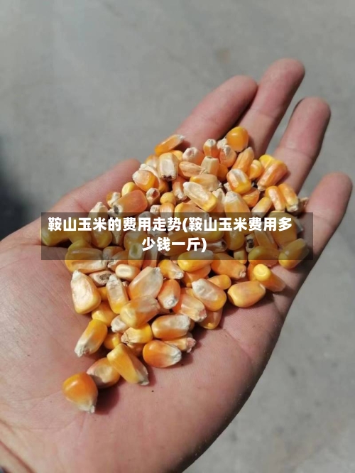 鞍山玉米的费用走势(鞍山玉米费用多少钱一斤)
